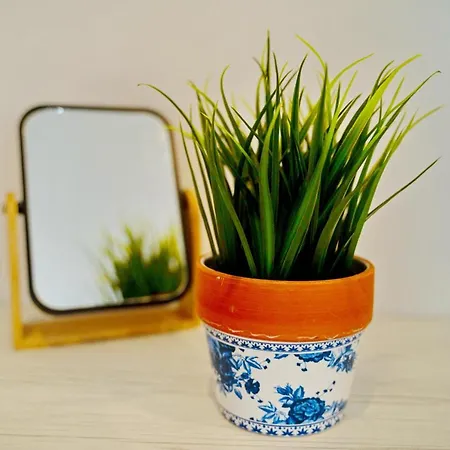 فندق Pensiunea Mara تيشيرغيول